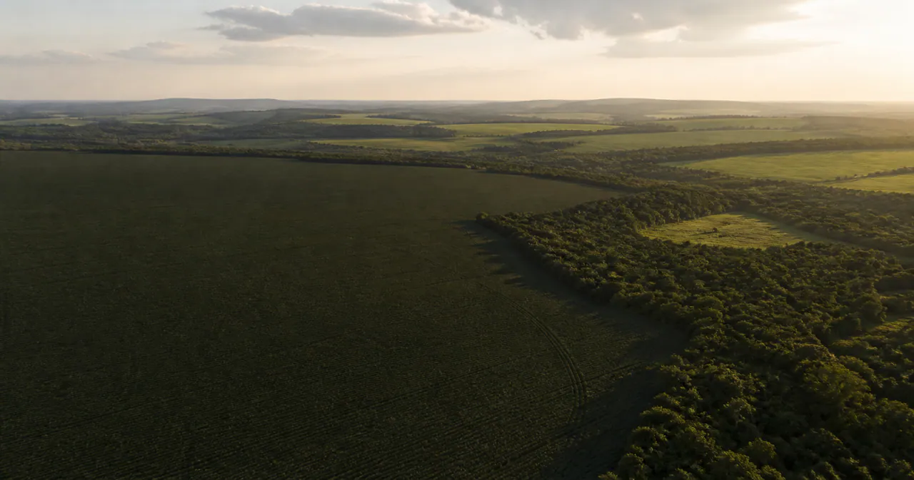Vista aérea de uma área agrícola em Goiás